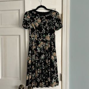 Maggy London dress. Size 2. Zip back. Floral print on black. Pleated skirt.